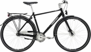 Nishiki_hybrid_307_herr